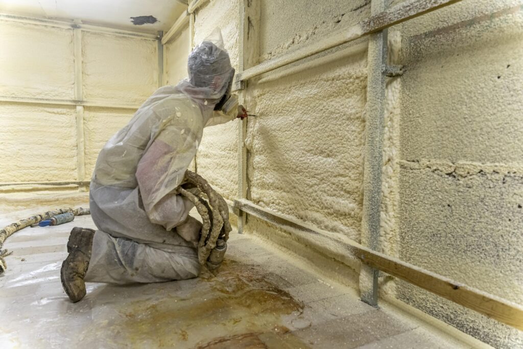 Mould inspection services