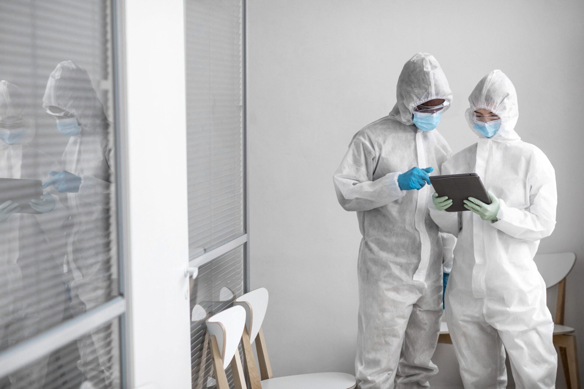 melbourne mould experts 